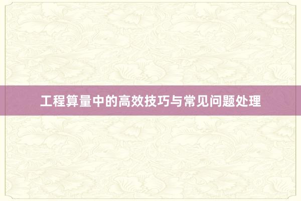 工程算量中的高效技巧与常见问题处理